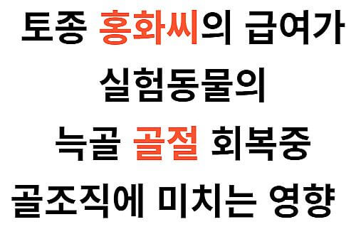 홍화씨 골절 관련 논문