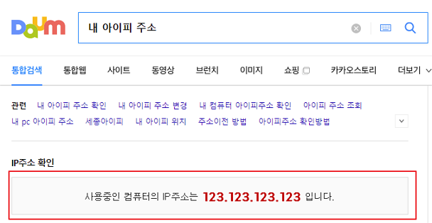 다음 IP주소 확인