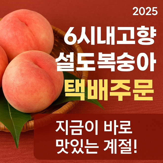 설도복숭아 택배 주문
