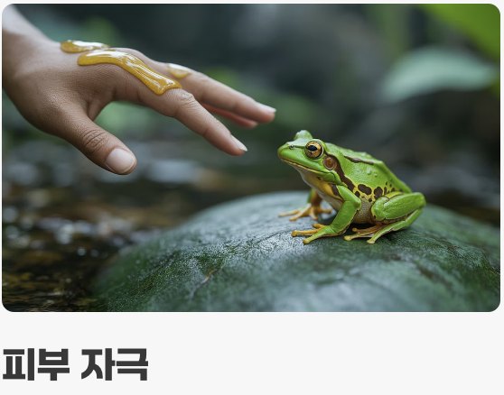 만지지 마세요&amp;#44; &amp;#39;눈&amp;#39;으로 사랑해주세요