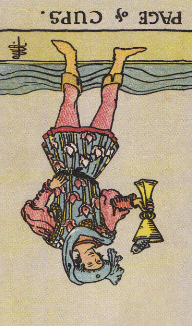 컵 페이지 역방향