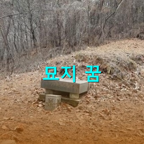 가파른곳에-잘-정리된-묘지