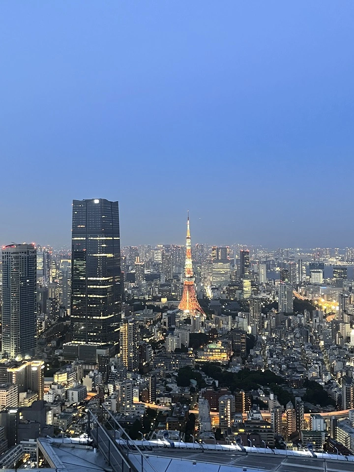 모리타워 스카이덱 오후 경관