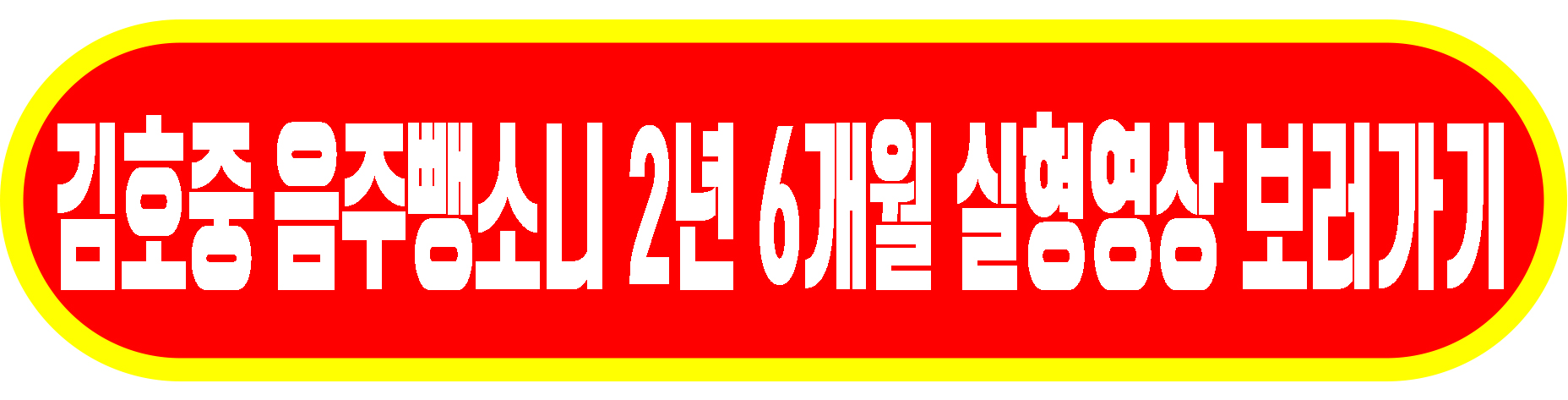 김호중 음주뺑소니