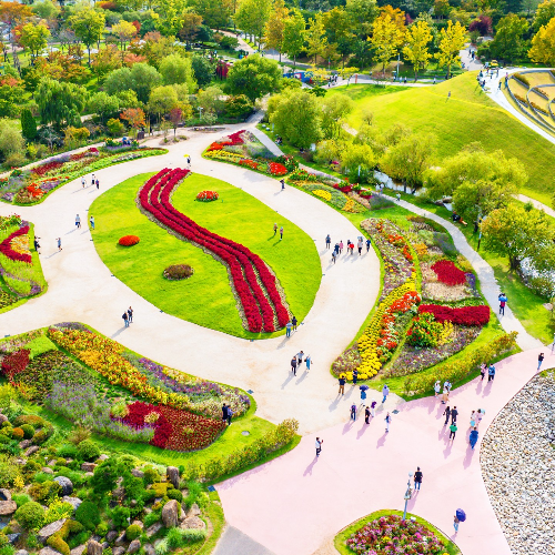 순천만 갈대축제