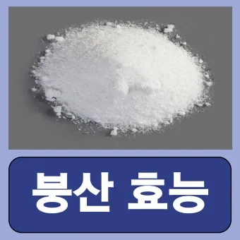 붕산의 효능 비료 바퀴벌레 개미 퇴치법 칼슘 용도 붕사의 차이 만드는 법 안내집_22