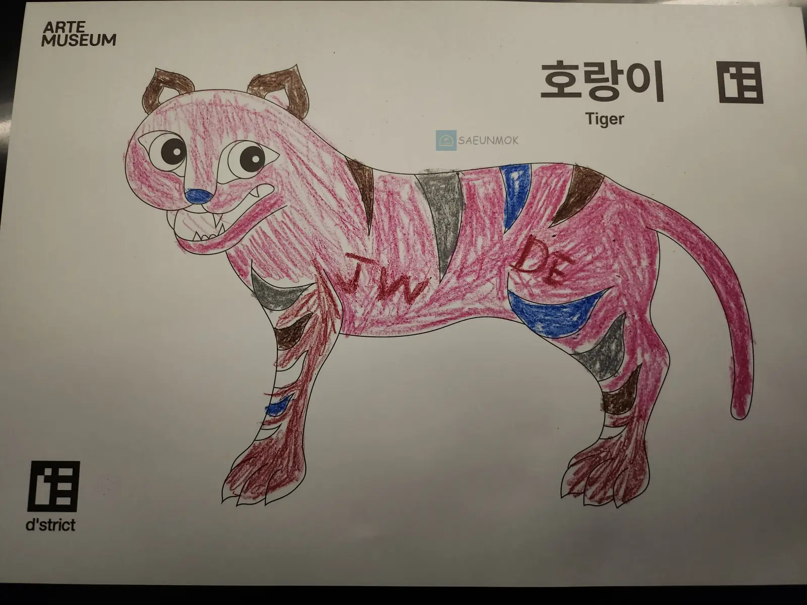 강릉-아르떼뮤지엄-라이브-스케치북