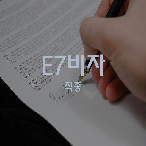 E7비자 직종, 직군
