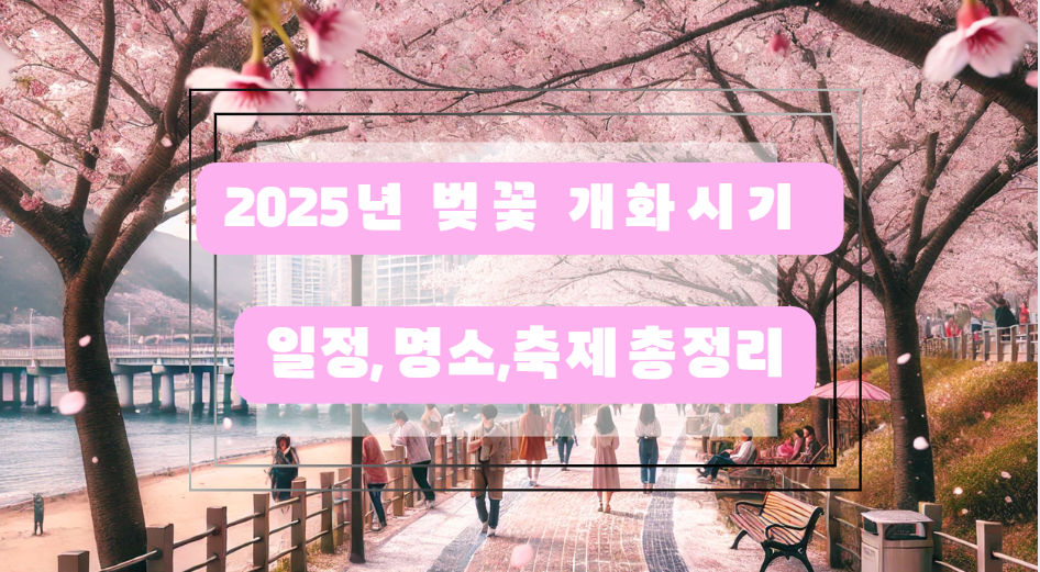 2025 벚꽃 개화 시기