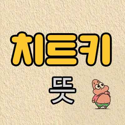 치트키 뜻