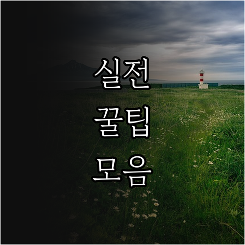 2025 옹진군 난임 약제비 지원 신..