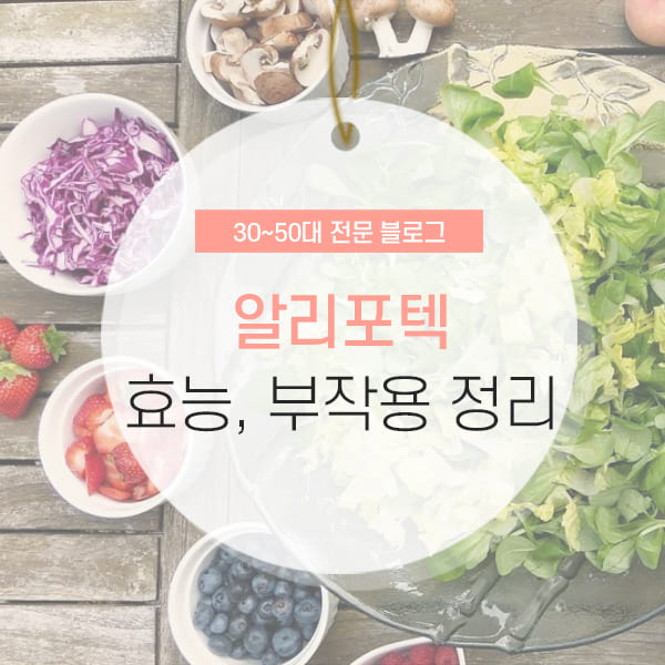 알리포텍 복용법 및 효능 소개 컨텐츠
