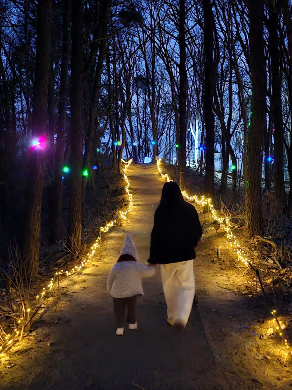 별빛정원우주 48