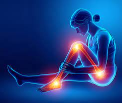 콘드로이친 1200mg 가격 효능 (내돈내산 후기)