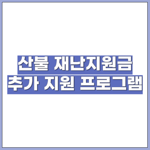 산불 재난지원금 추가 지원 프로그램