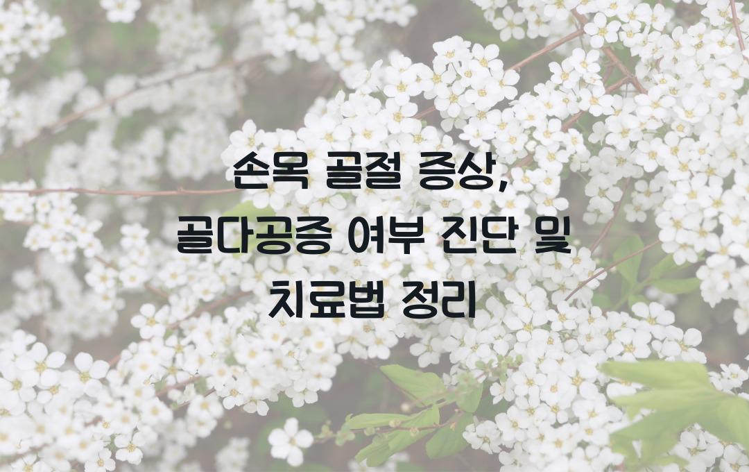 손목 골절 증상, 골다공증 때문일까? 진단법 & 치료법 정리!