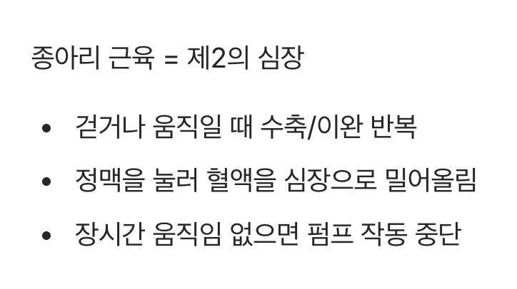 잠들어 버린 제2의 심장&amp;#44; 종아리