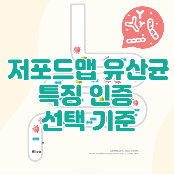 저포드맵-유산균-특징-인증-선택-기준