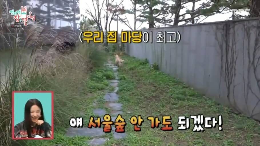 엄정화, 50억 한남동 빌라에 정착한 이유