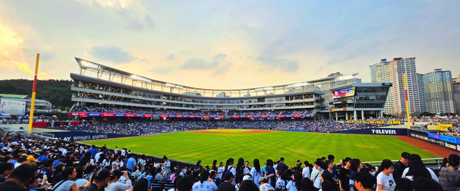 외야에서 본 그라운드 모습 1