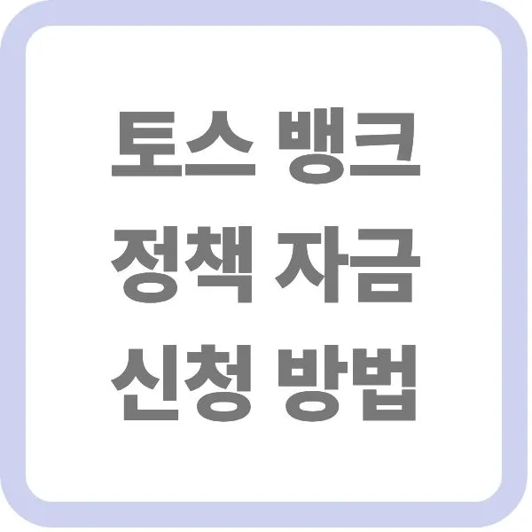 토스뱅크 정책자금 신청 방법 안내 타이틀 텍스트