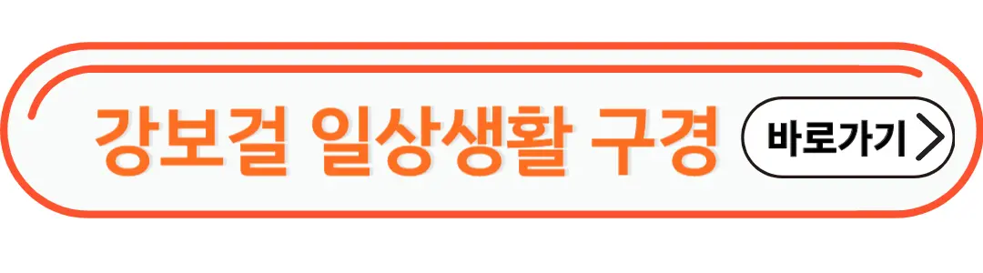 강보걸 일상생활 구경