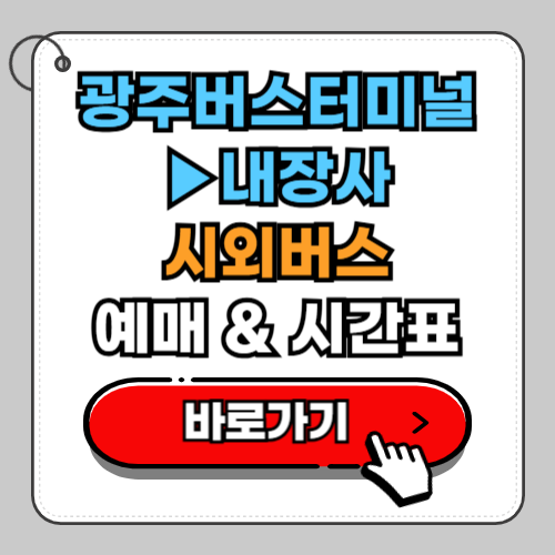 광주버스터미널(유스퀘어)에서 내장사 시외버스 예매 시간표 정보 총정리