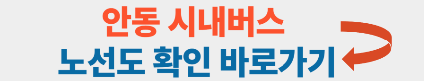 안동시내버스 노선도