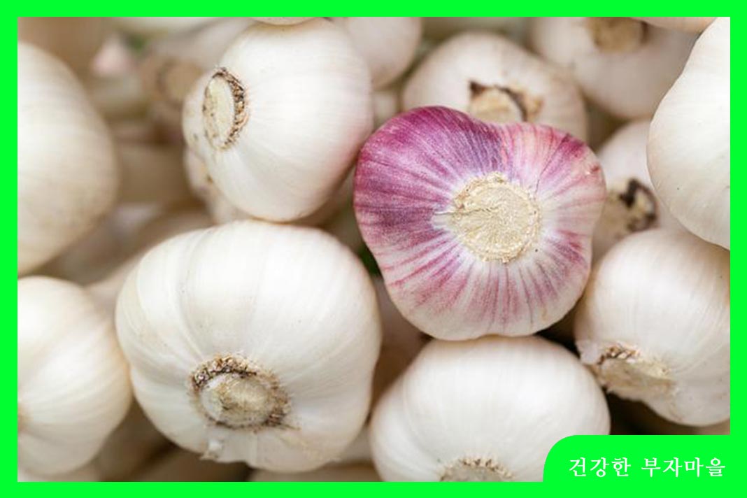 저혈압에 좋은 음식 - 마늘