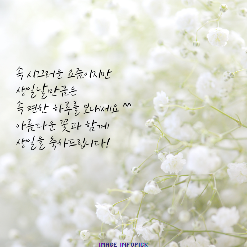 생일 축하 메세지 문구 이미지 모음 생일 축하 인사말 글귀