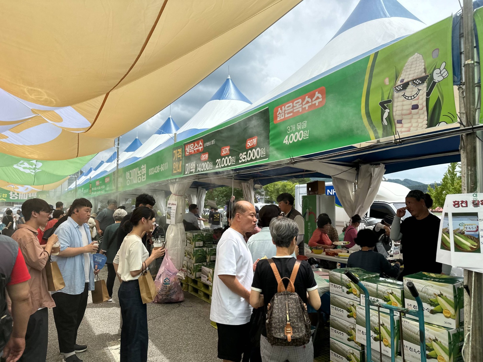 홍천 찰옥수수 축제