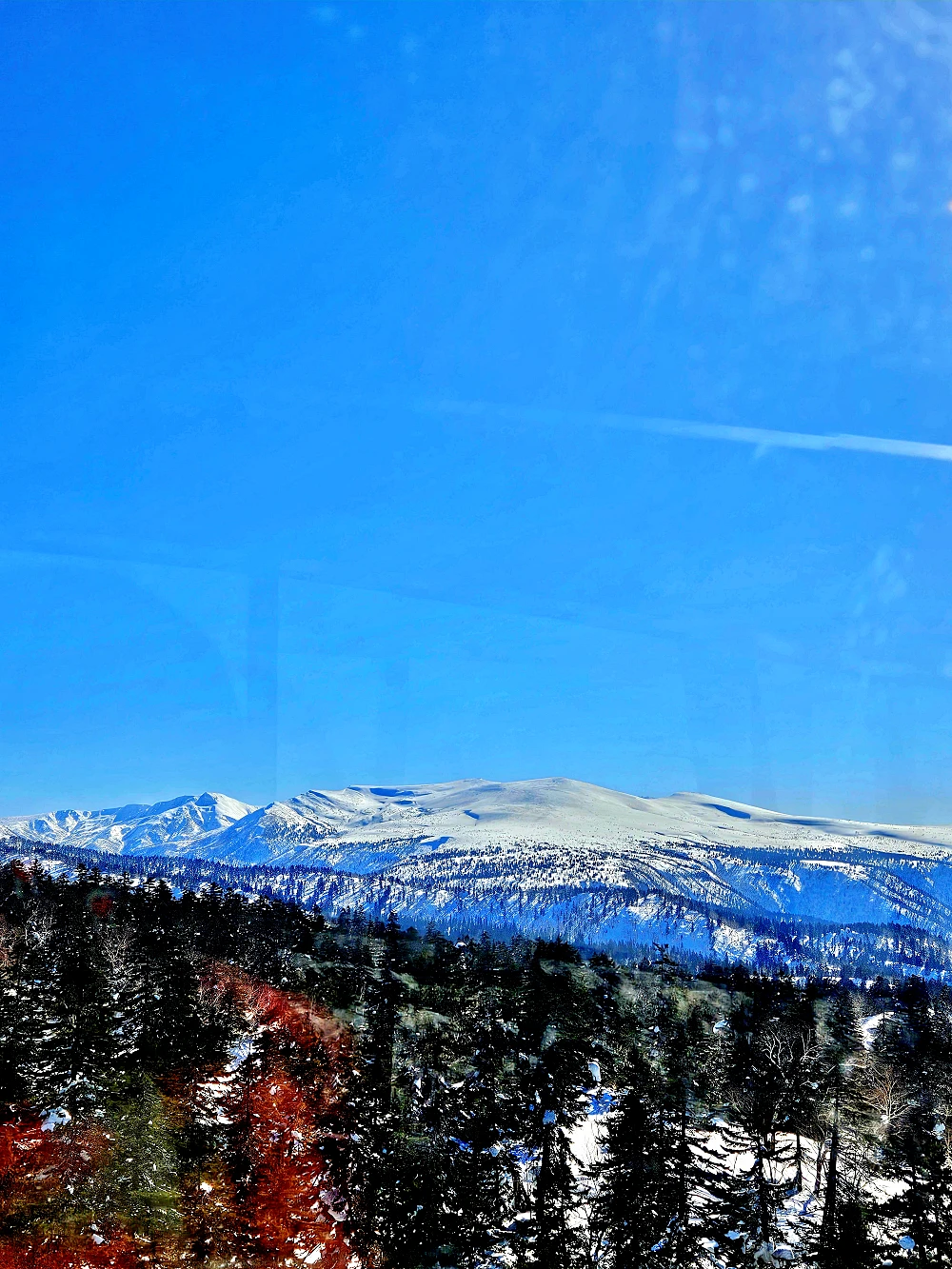 아사히다케 로프웨이 트래킹 투어 8