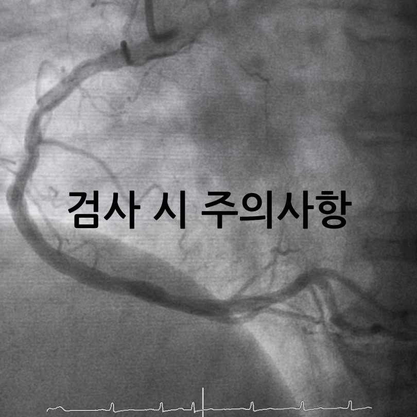 뇌혈관 조영술