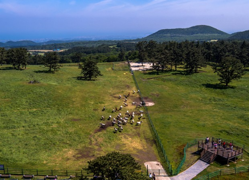 자연경관 제주 숨은 명소 제주마방 목지풍경사진