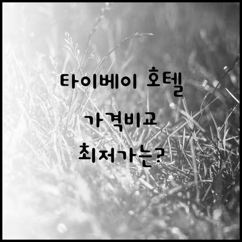 타이베이 호텔 6곳 가격 비교 분석 어디가 좋을까? 타이베이 호텔 6곳 가격 비교 분석