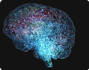 뇌 에너지 소비 흐름을 보여주는 일러스트