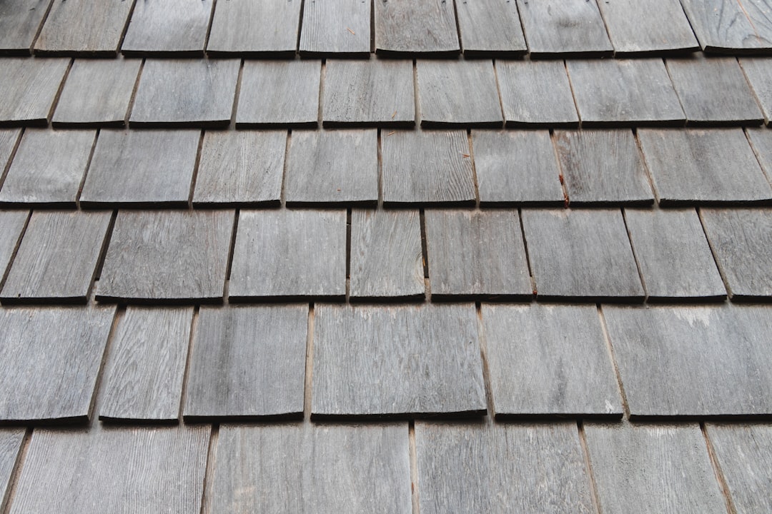 Zoster (referring to shingles)
