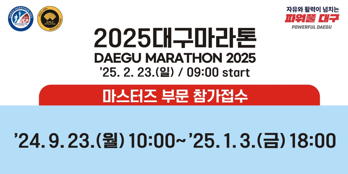 마라톤 참가 일정
