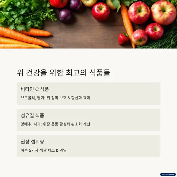 위 건강에 좋은 채소와 과일 식품 모음