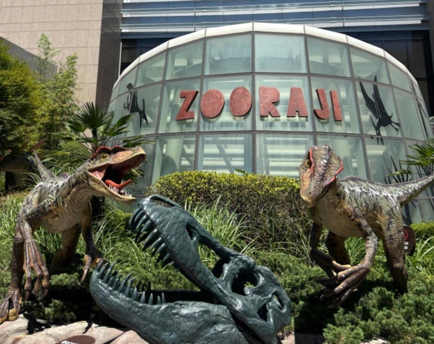 부산 신세계 백화점 주라지 아기랑