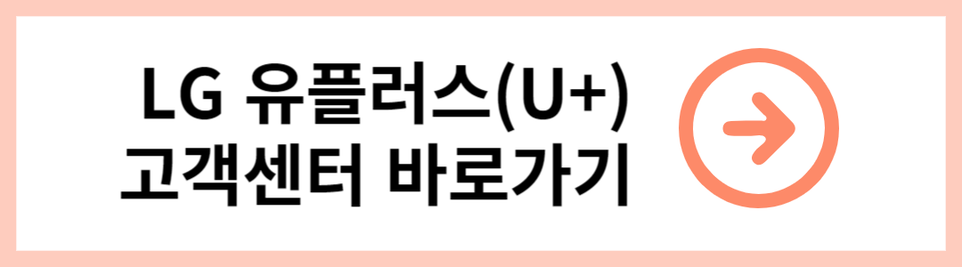 유플러스 인터넷 요금제