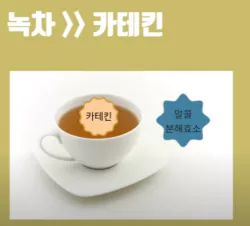 녹차-사진