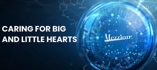 메지온 주가 급락