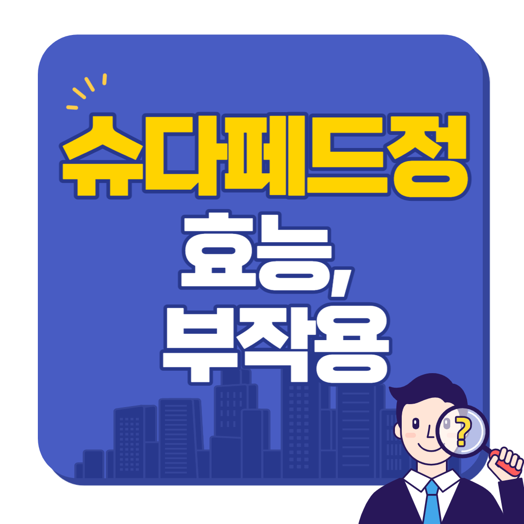 슈다페드정