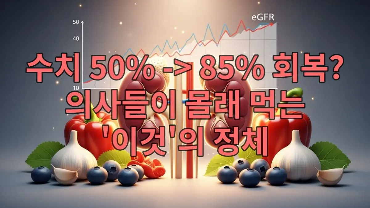건강하게 빛나는 신장과 사구체여과율(eGFR) 수치가 상승하는 그래프, 그리고 신장에 좋은 음식인 빨간 파프리카와 베리류가 함께 배치된 희망적인 이미지