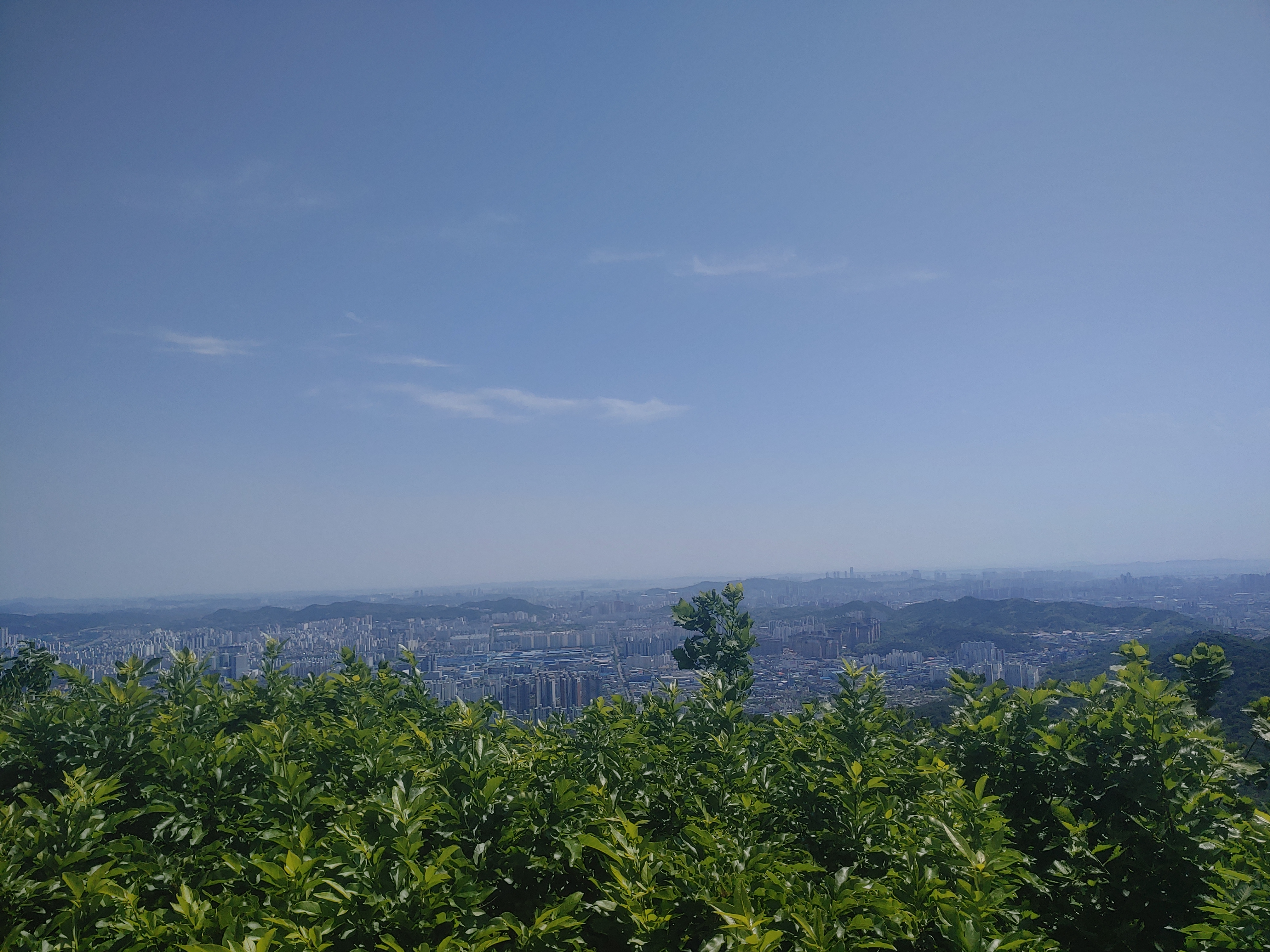 계양산 정상에서의 풍경사진