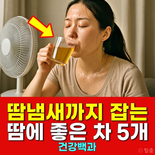 땀냄새 땀에 좋은 차