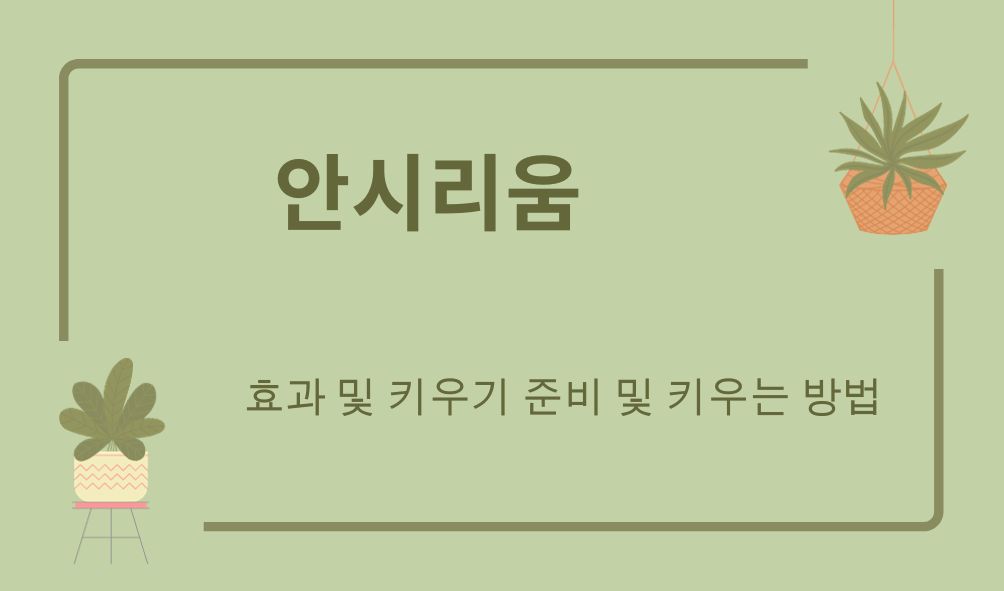 안시리움 (anthurium clarinervium)