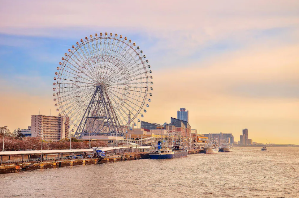 일본 여행, 현재 유행하는 일본 전염병, 연쇄상구균 독성쇼크증후군(STSS)