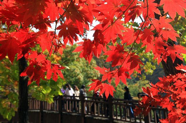 가을여행&#44; 당신은 어디로 떠나시나요?